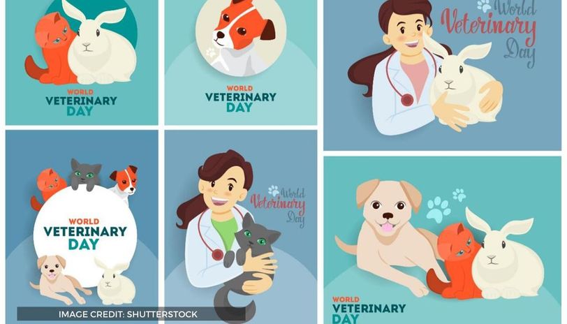 World Veterinary Day 2020 Theme | Learn Its Signficance & Other Details For This Year