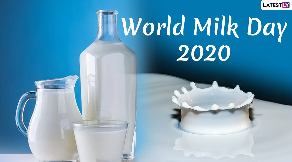World Milk Day 2020: From Creating Plastic to Time Required By Cow to Produce Milk, Here Are 10 Fun Facts About This Beverage