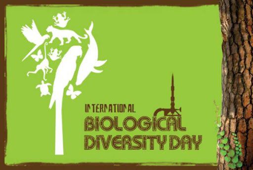 Happy International Day for Biological Diversity 2020: HD Images, Quotes, Wishes, GIF, Photos, Messages, Greetings Free Download