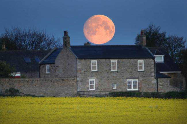 Full Moon May 2020: Final Supermoon of 2020 Set to Grace Skies Over UK