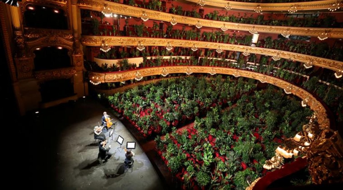 Amazing! Barcelona Opera Opens After Months of Lockdown by Performing a Concert For Over 2,000 Potted Plants as Audience (View Pics and Video)