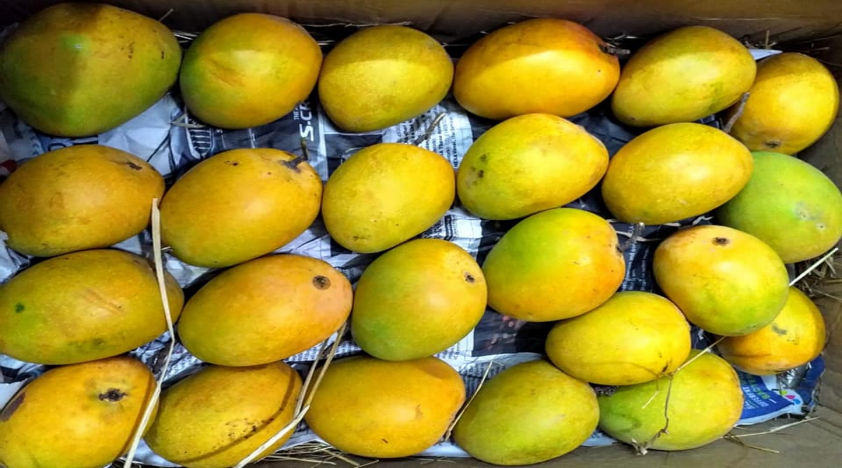 Dubai: Supermarket Delivers Mangoes in a King-Like Lamborghini Ride