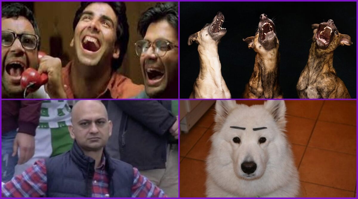 From Hera Pheri to Annoyed Pakistani Fan, Twitter Thread Comparing Famous  Meme Reactions to Dogs Will