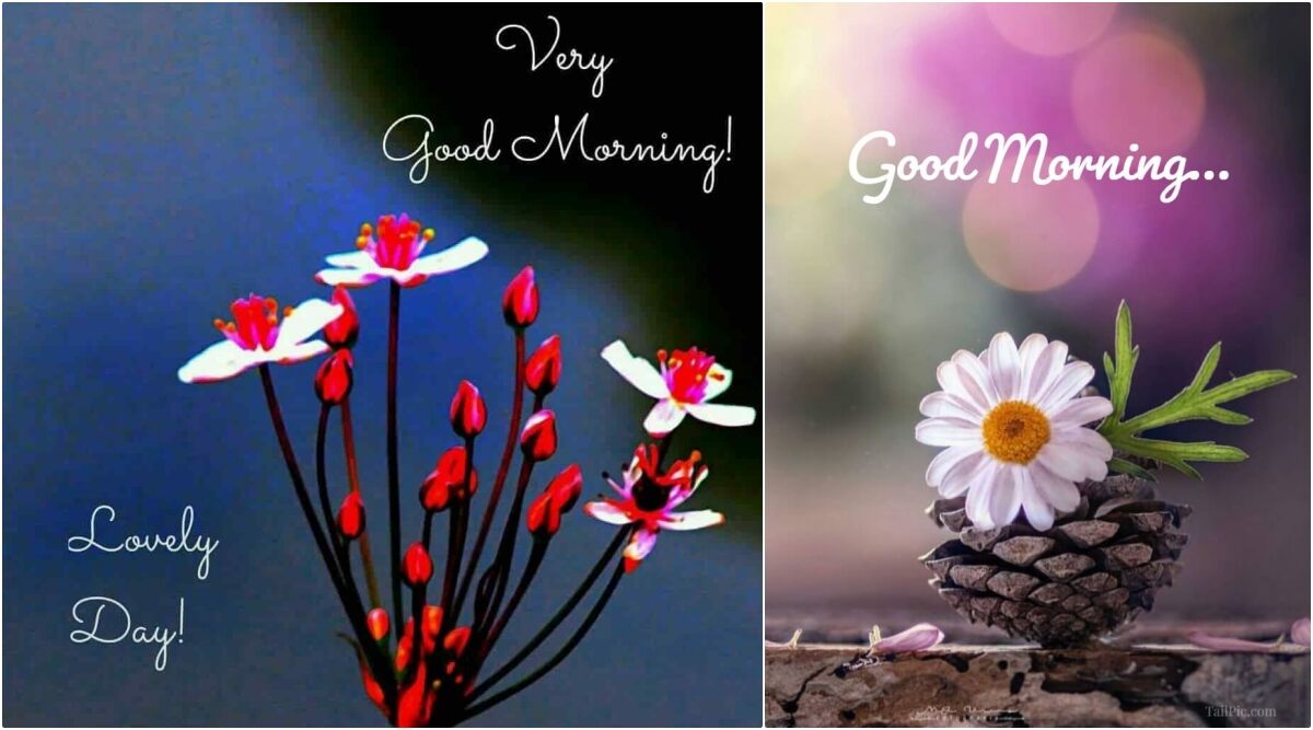 Good Morning HD Images & World Environment Day 2020 Quotes: Wish Vishwa Paryavaran Diwas With WED Messages, WhatsApp Stickers and GIF Greetings