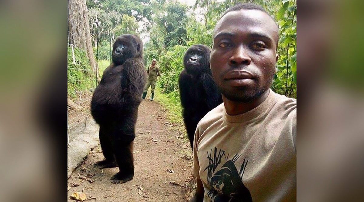 National Selfie Day 2020: Hilarious and Awkward Selfies That Immediately Went Viral on the Internet!