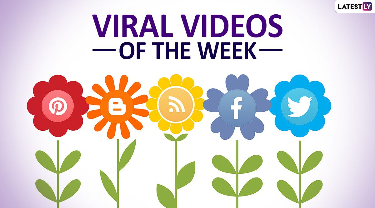 Viral Videos of the Week: From Locust Attacks in Gurugram to Baby Thrown Into Swimming Pool, These 7 Clips Had Netizens on Their Toes