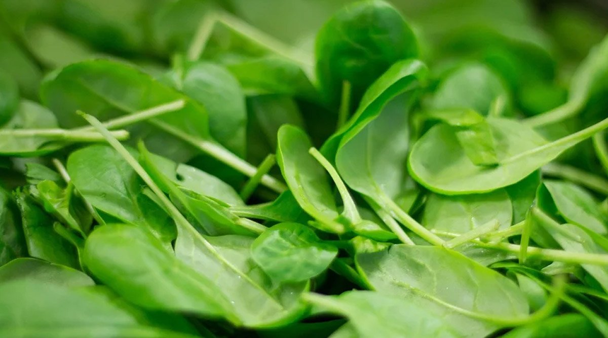 Vitamin K Deficiency May Worsen COVID-19 Symptoms: From Spinach to Soybean, Eat More of These Foods to Load Up on the Nutrient