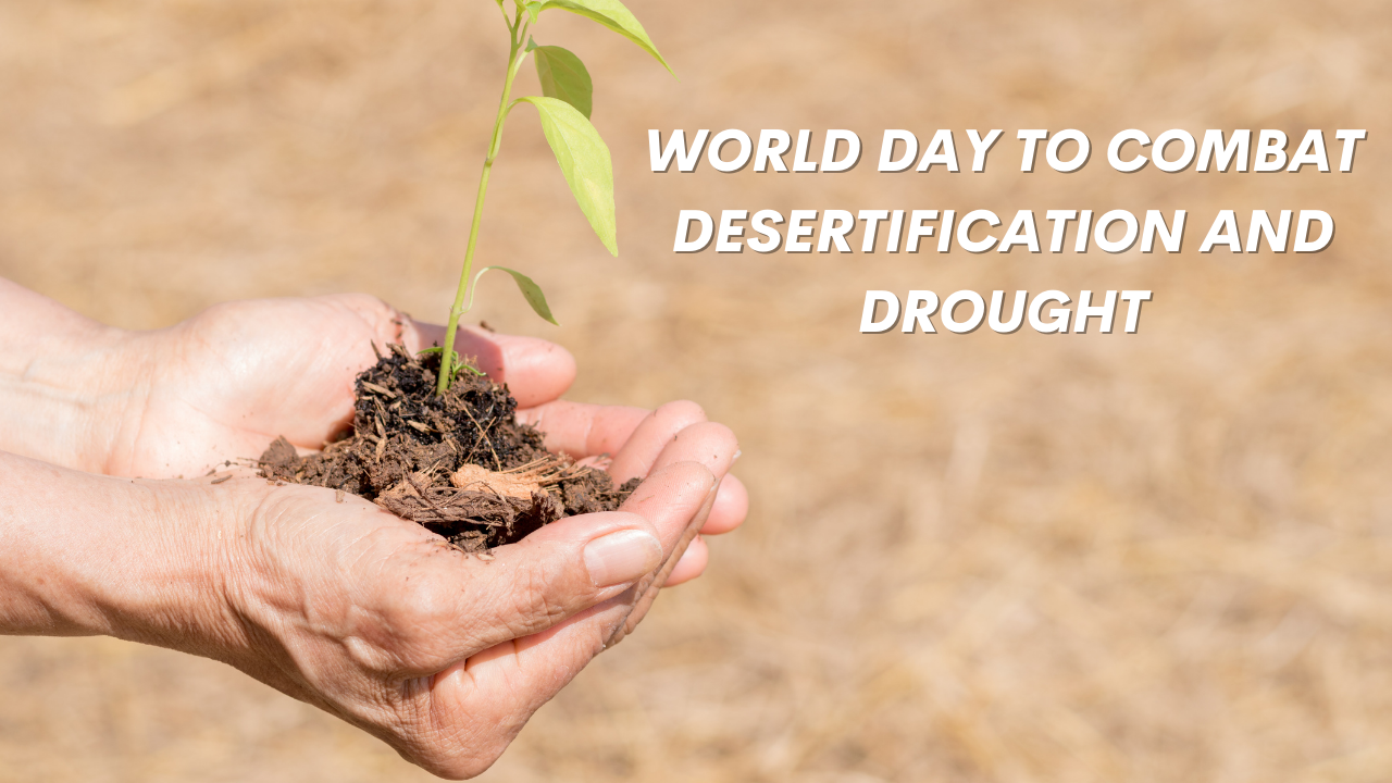 World Day to Combat Desertification and Drought 2021 Date & Theme: Know the Significance and History of the Day That Raises Awareness of the Presence of Desertification & Drought