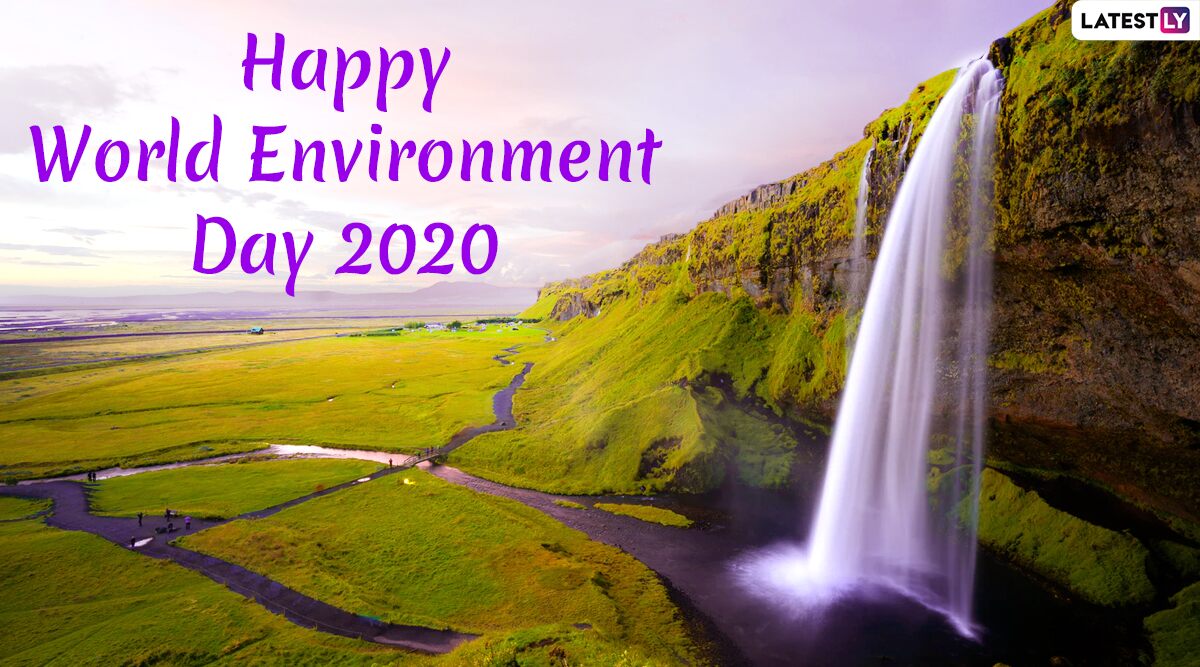 World Environment Day 2020 Date, Theme & Quotes on Nature: Know Previous WED Themes, History, Significance and Celebrations Associated With This International Event