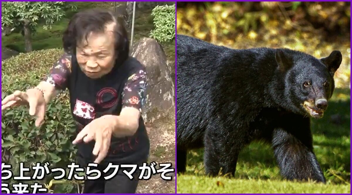 82-Year-Old Japanese Grandma Fight Off Bear in Her Backyard, Sustains Few Injuries on Her Face But Says, 'I Sent Him Flying!' (Watch Video)