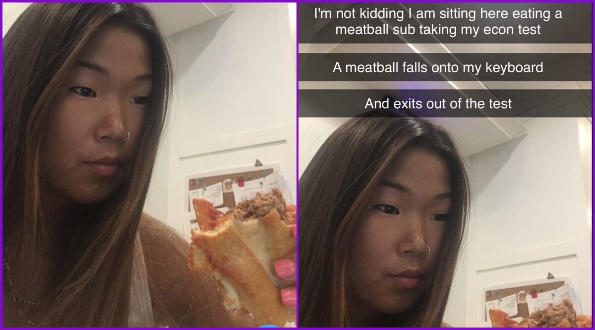 Best Excuse Ever? Girl Requests Retest After Meatball Accidentally Falls on Her Keyboard And Logs Out, Professor Agrees!