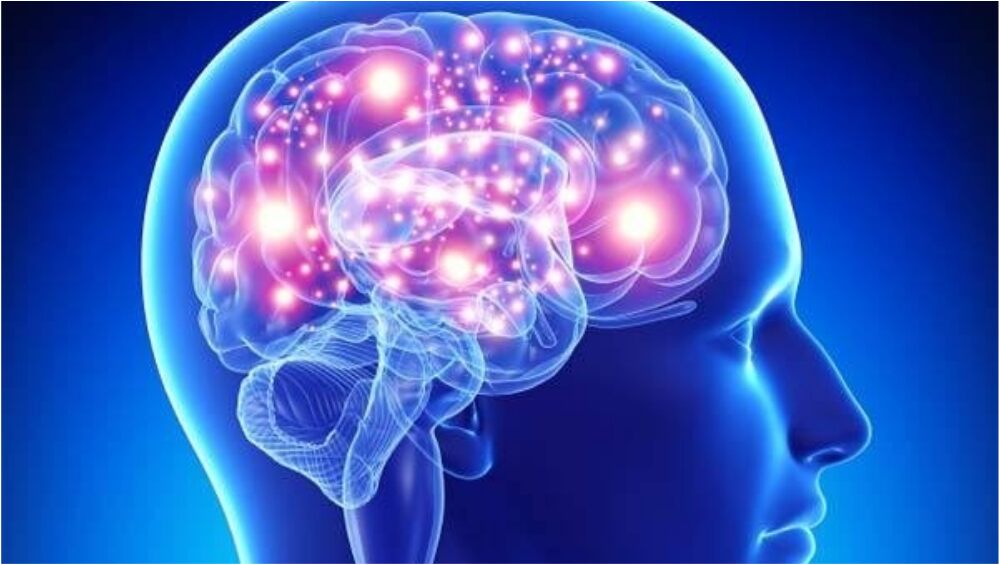 Brain Network Mechanism Causes Spatial Memory Impairment: Study