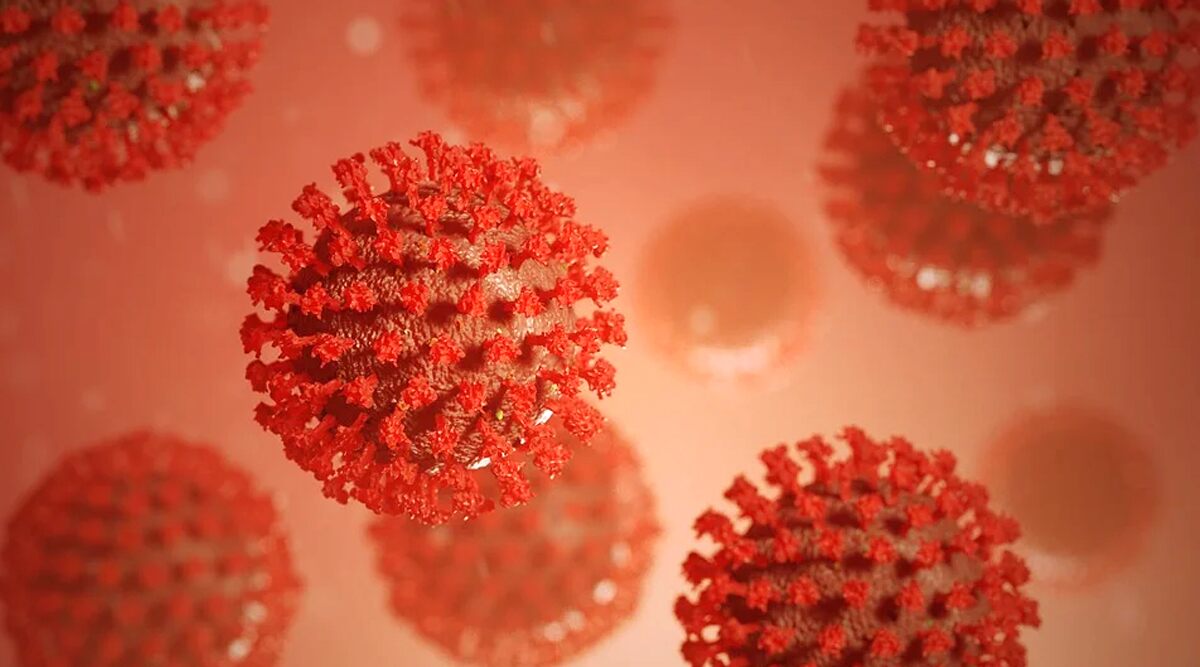 Coronavirus Is Mutating and the New COVID-19 Viral Strain Is 10 Times More Contagious than Original, Says Florida Study