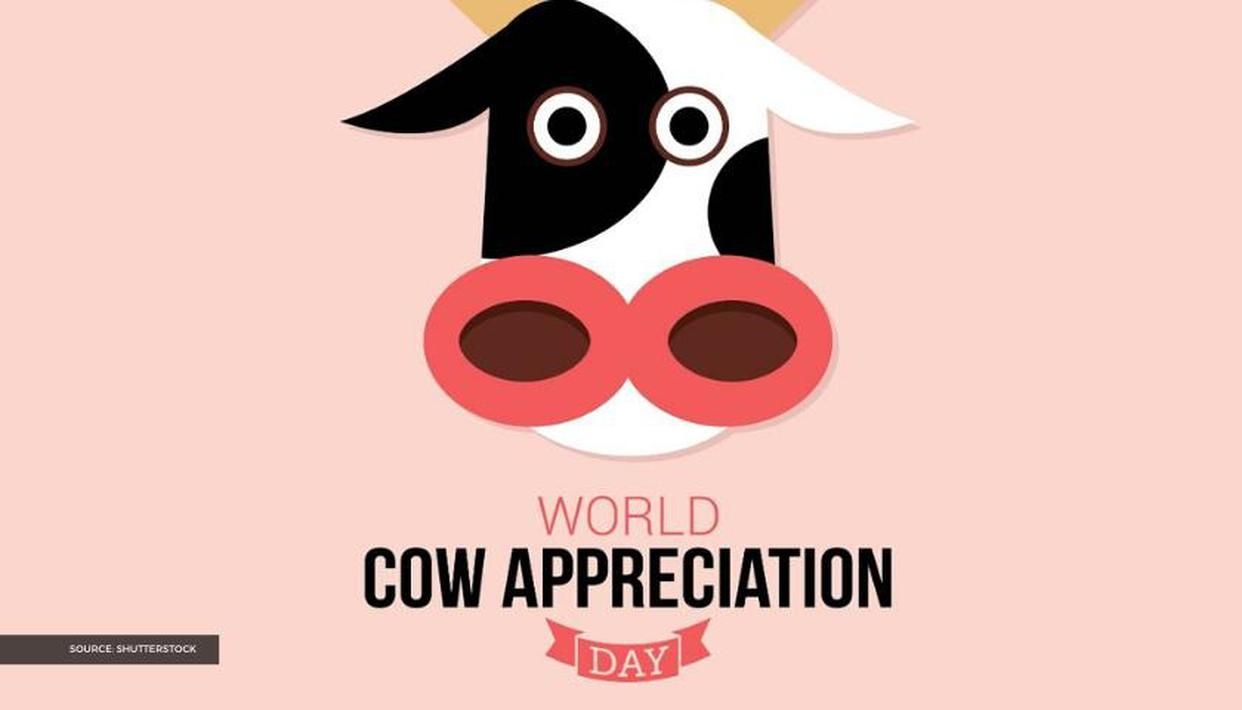 Cow Appreciation Day messages to send to spread awareness about the day