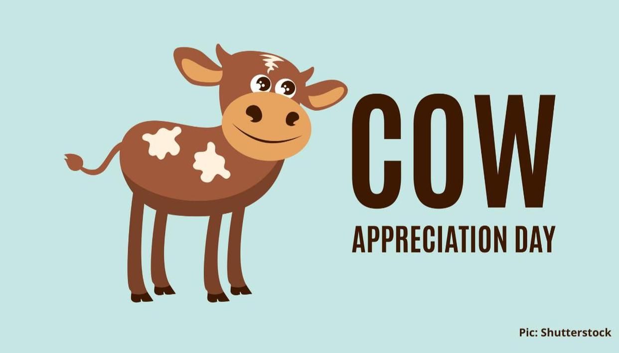 Cow Appreciation Day quotes to share with your friends and family