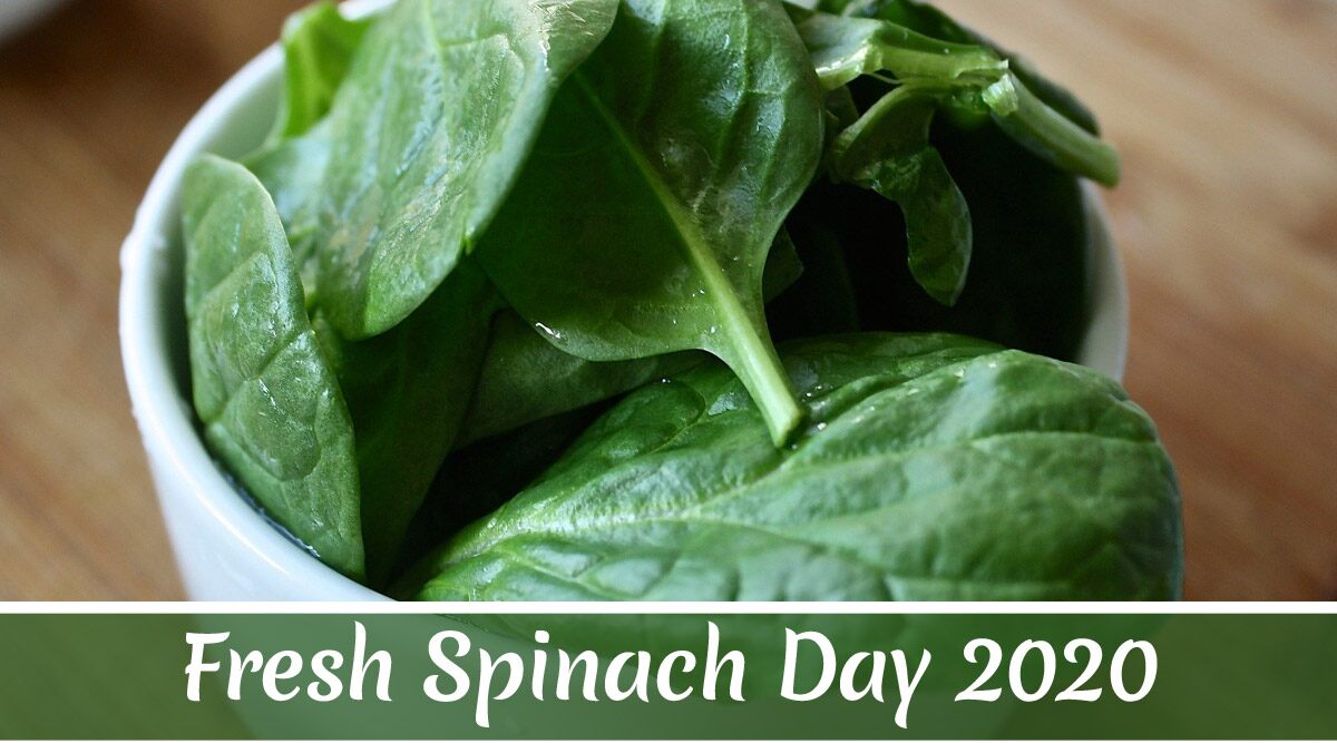 Fresh Spinach Day 2020: From Boosting Immunity to Improving Eyesight, Here Are Five Health Facts About This Green Leafy Vegetable