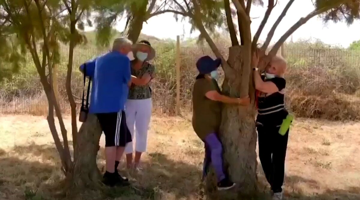Hug a Tree: Israel’s Nature and Parks Authority Encourages People Missing Human Contacts to Hug a Tree and Beat the Pandemic Blues (Watch Video)
