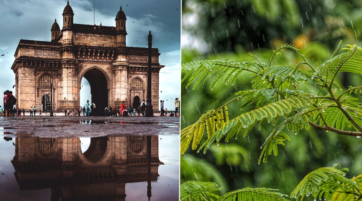 Mumbai Monsoon in Pics & Videos: 'Pakode,' 'Bhutta,' and Beautiful Rainfall View From Home, Mumbaikars Are Enjoying the Magic of Rain!