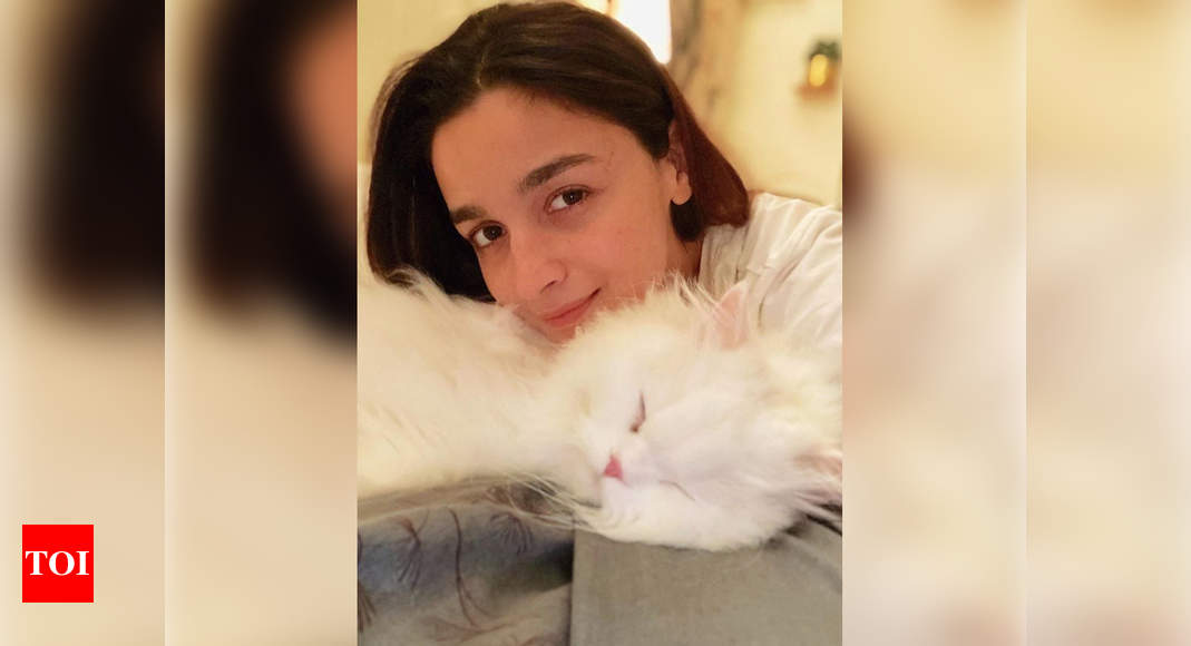 "My calm in every storm," Alia Bhatt shares a doting photo with her furry friend Edward | Hindi Movie News