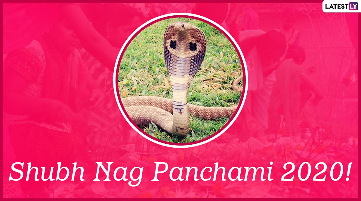 Nag Panchami 2020 Marathi Messages & HD Images for Free Download Online: WhatsApp Stickers, Wishes, Greetings, SMS and Quotes to Celebrate Naga Panchami