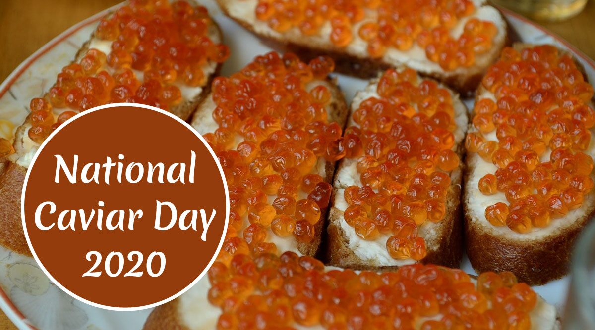 National Caviar Day 2020: Why is Sturgeon Fish Egg Expensive? Here’s The List of Top Five Highly Priced Caviar