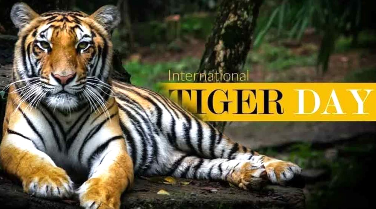 On International Tiger Day 2020, Twitterati Share 'Save The Tiger' Messages With Pictures Of The Wild Cats With Interesting Facts andFor Tiger Conservation
