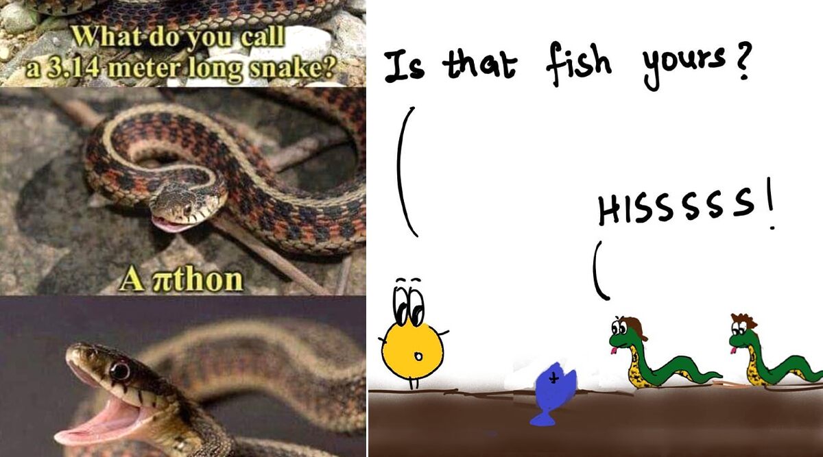 On World Snake Day 2020, These Silly Snake Puns and Riddles Will Make You Laugh 'Hisssterically'