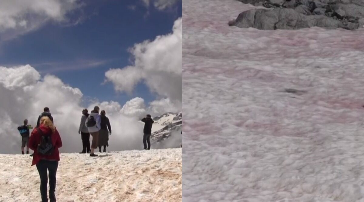 Pink Ice Cover Italian Alps Due to Growing Algae Caused by Climate Change, May Trigger Melting (See Pictures And Videos)