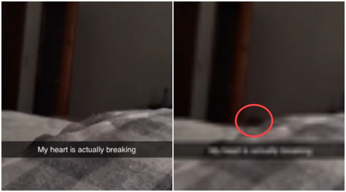 Pregnant Woman Spots Mysterious Black Shadow in Her Room While Filming Her Baby Bump, Netizens Wonder Who's That! (Watch Spooky Video)