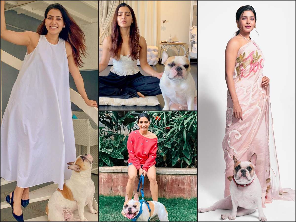 Samantha Akkineni’s PICTURES with doggo Hash are TOO CUTE TO BE MISSED
