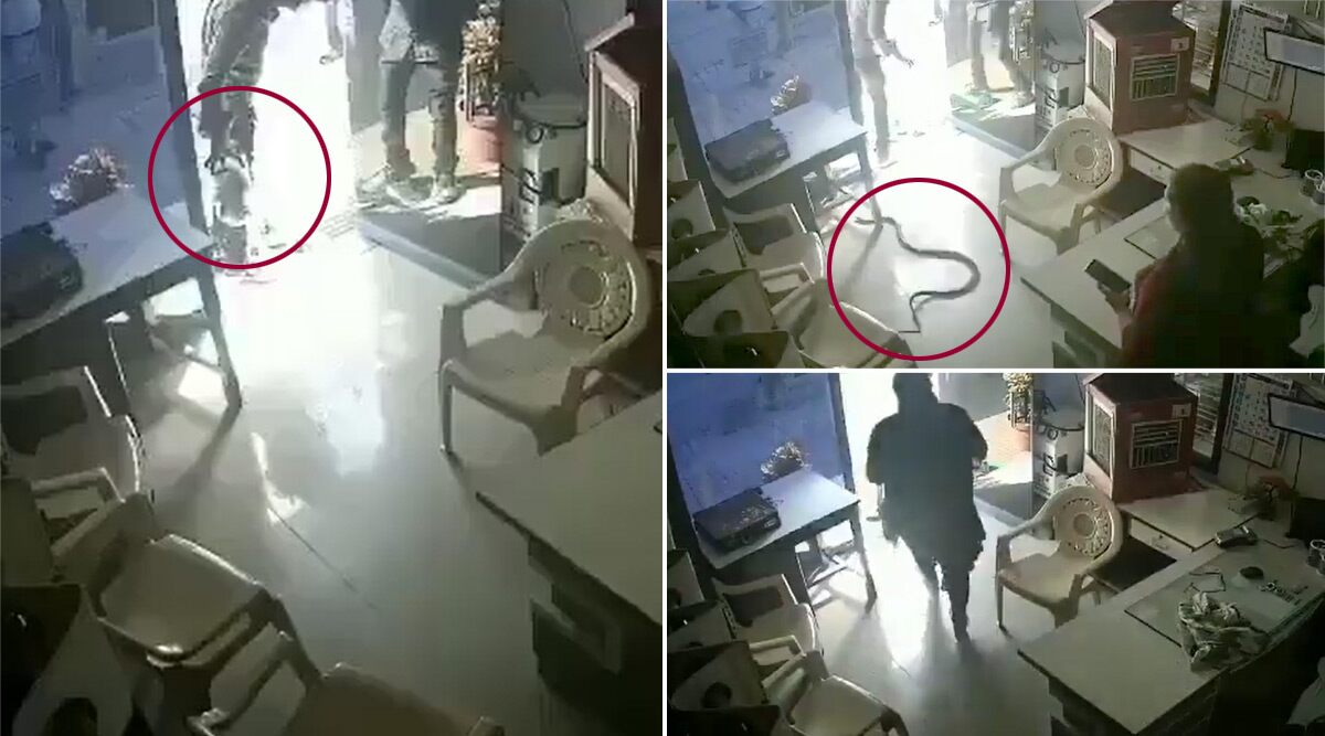 Shocking! Man Purposely Throws Huge Snake at Mumbai Petrol Pump Owner’s Cabin For Refusing Fuel in Bottle (Watch CCTV Video)