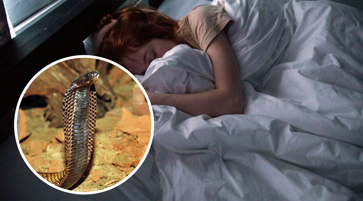 Snakes in Dreams? What does it Symbolise? Know The Meaning of Seeing Serpents While Sleeping