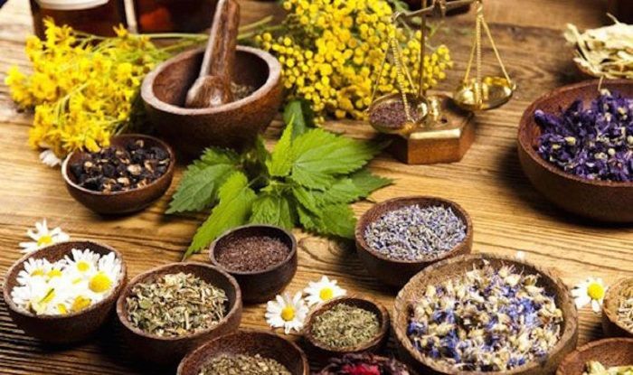 US Joins India in Clinical Trials For Ayurveda Formulations Against COVID-19