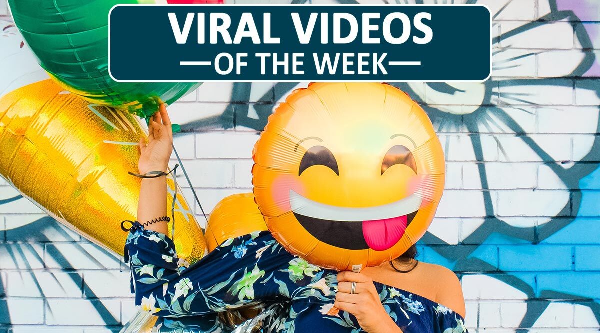 Viral Videos of the Week: From NYC Toddler Besties Maxwell and Finnegan With Face Masks On to ‘Charlie Bit My Finger’ Siblings, Watch 7 Clips That Spread Joy on the Internet
