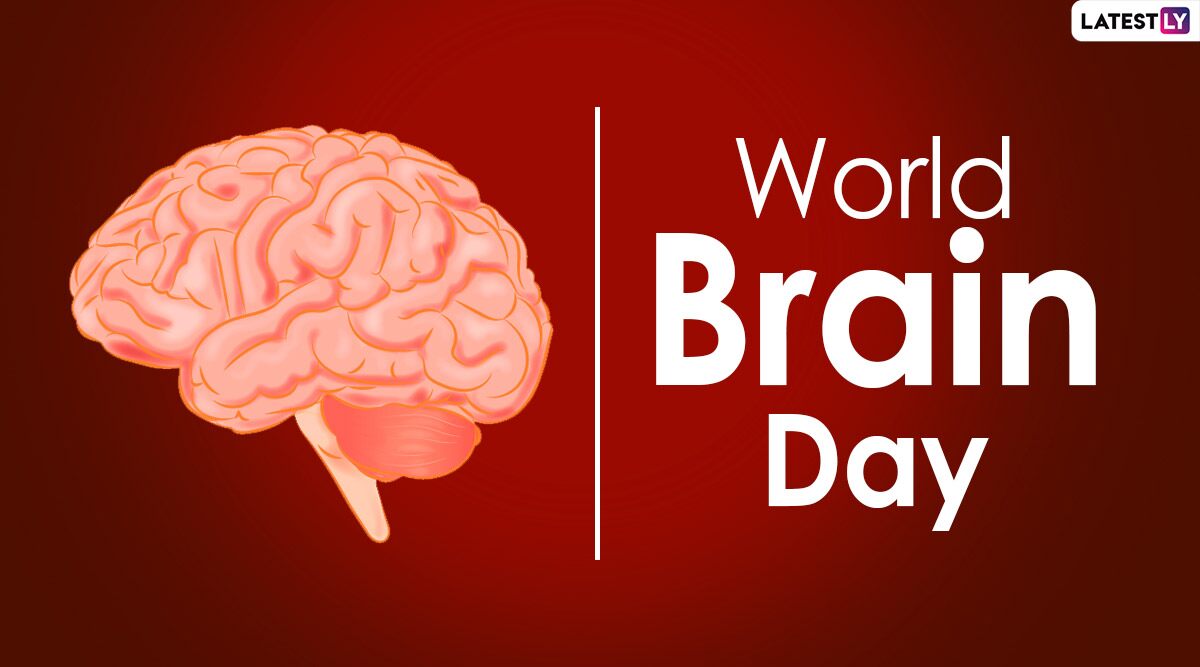 World Brain Day 2020 History, Theme & Significance: Know More About the Day Dedicated to Raising Public Awareness About Brain Health