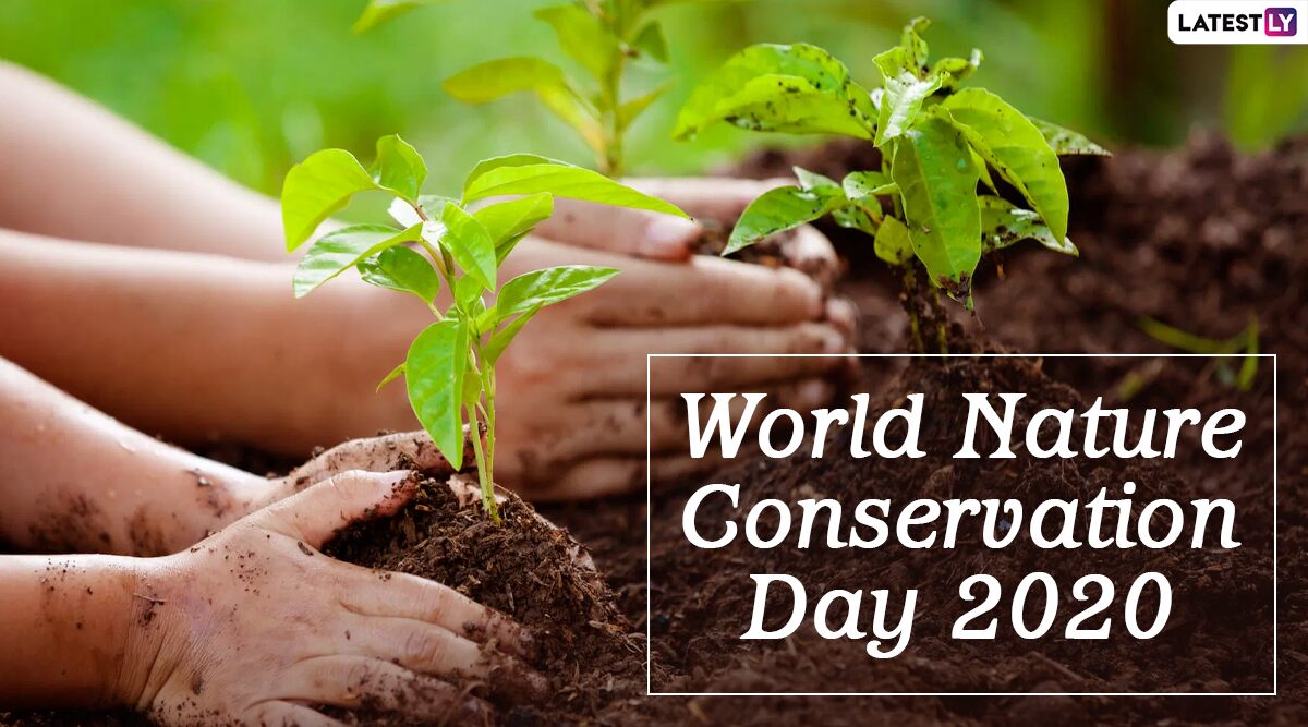 World Nature Conservation Day 2020 Date and History: Know Significance of the Day Celebrated to Raise Awareness About Conserving Natural Resources