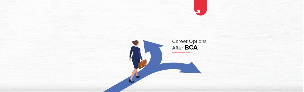 7 Best Career Options After BCA: What To Do After BCA? [2020]