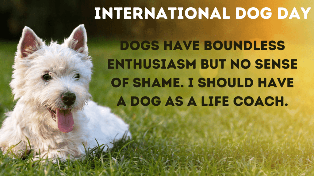 Happy International Dog Day Hd Images Wishes Quotes Wallpaper Messages To Share On Usa National Dog Day