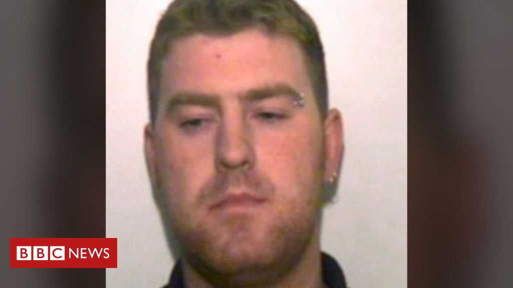 Essex lorry deaths: Ronan Hughes admits manslaughter