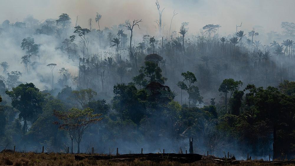 Fears grow for Brazilian Amazon after thousands of fires in July