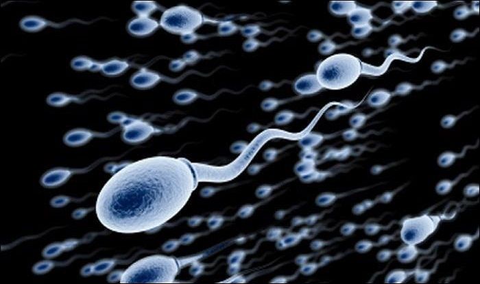 Human Sperm Swims in Entirely Different Way Than Earlier Thought