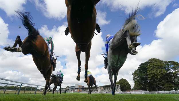Jockey Club chief executive Delia Bushell resigns after inquiry upholds allegations