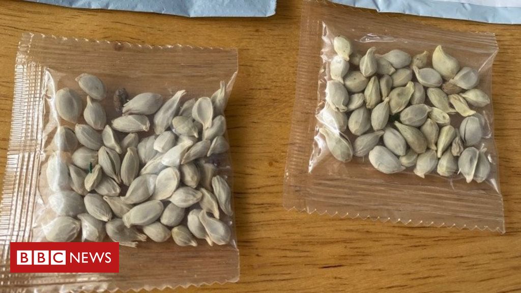 Mystery seeds: Amazon bans foreign plant sales in US