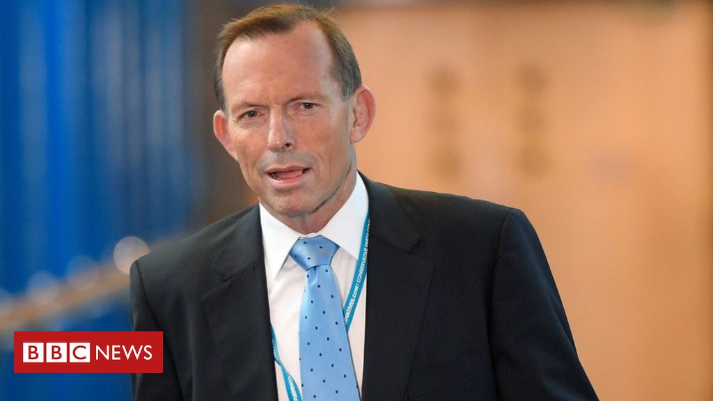 Tony Abbott keen to contribute 'expertise' to UK trade role