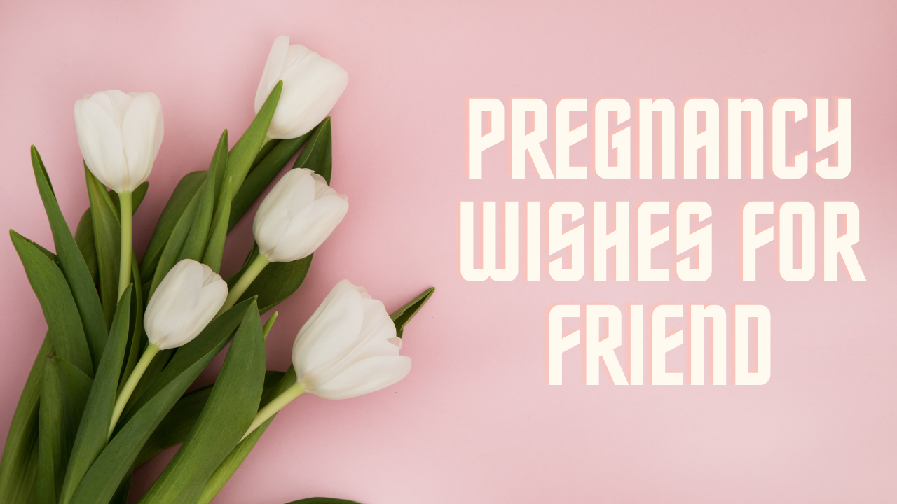 Pregnant wishes