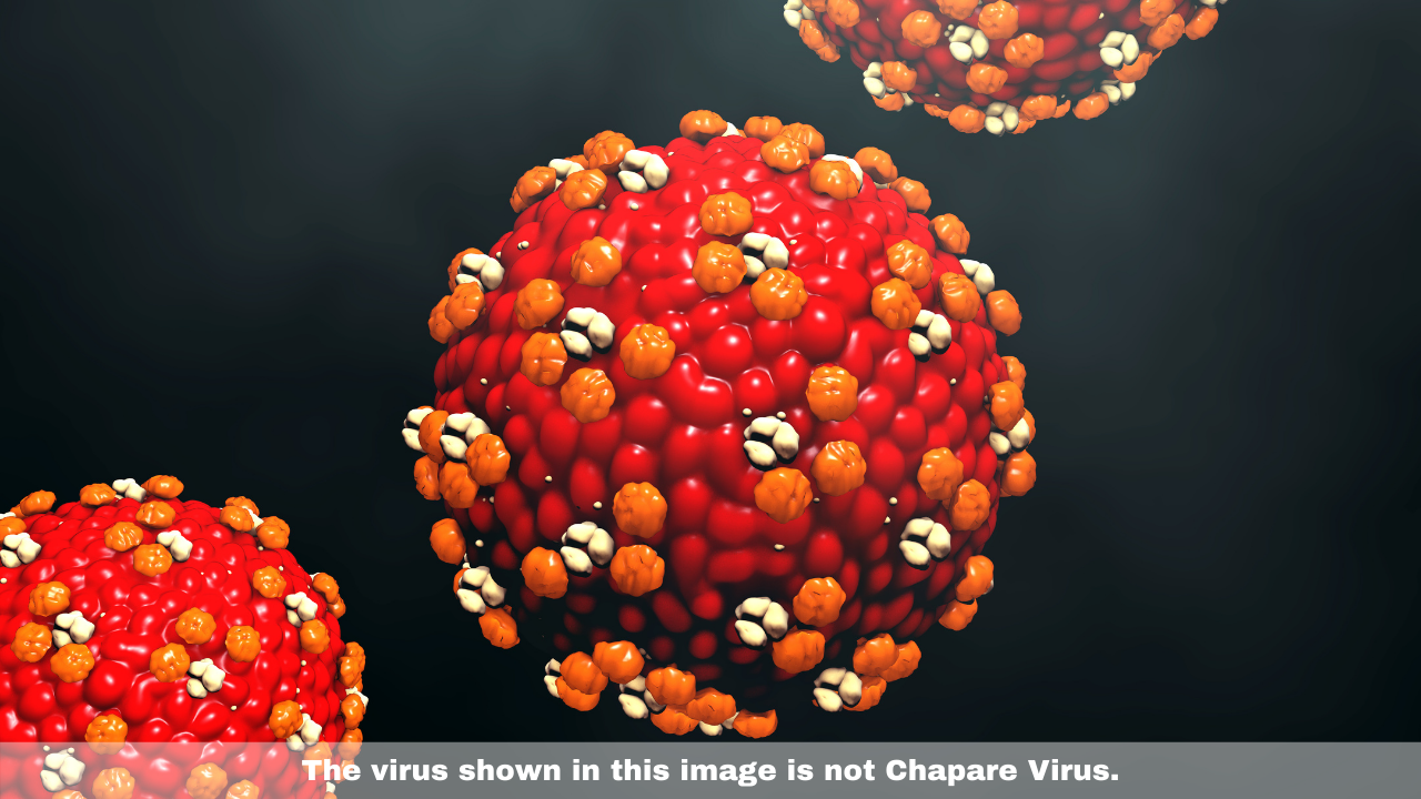 After Corona, now Deadly Chapare Virus can disturb the world, Symptoms like Ebola