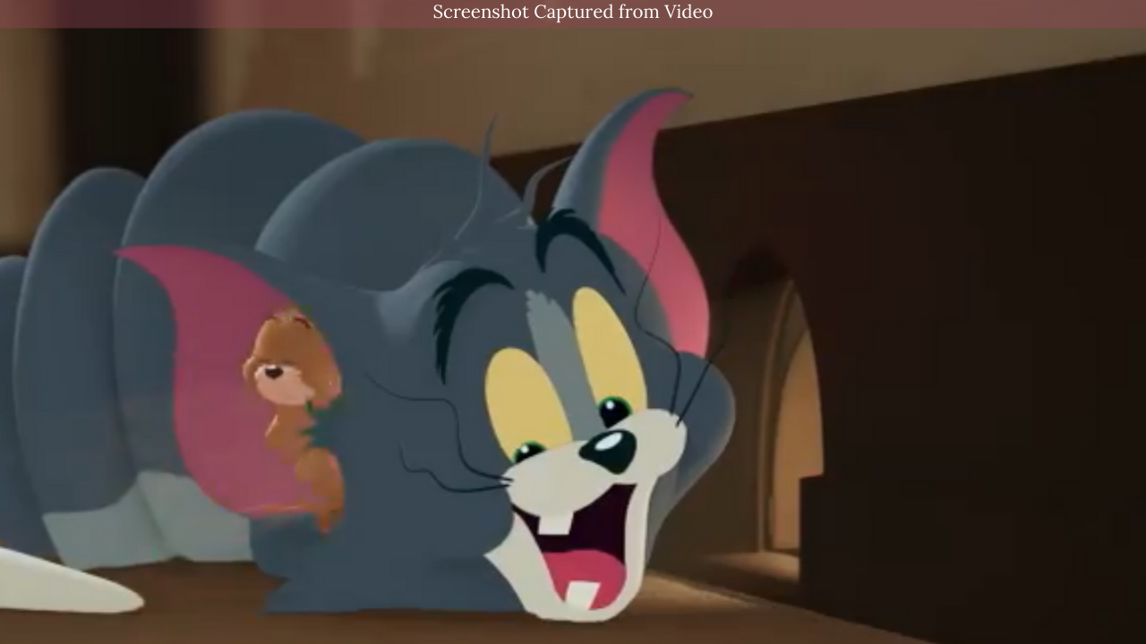 Tom And Jerry movie trailer came out, people watching the game of cat and Rat said - 'Hurry release ...' - Watch Video