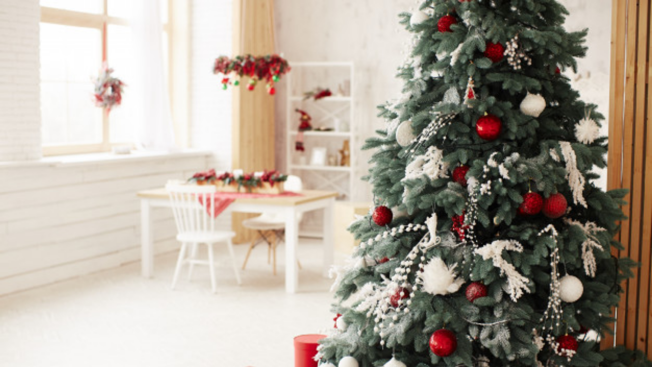 Vastu tips: Keep these things in mind, then Christmas will be filled with a wealth