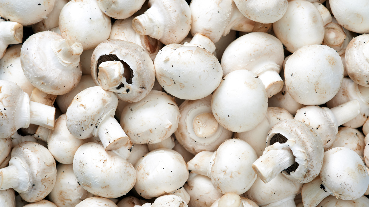 Mushroom Benefits: From bones to hair strength, eating mushrooms has  countless benefits