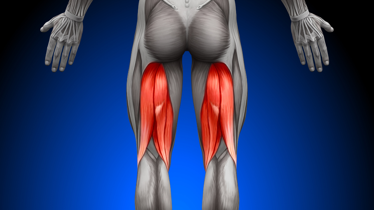 Hamstring Muscle Injuries and Solution